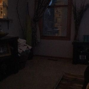 Meet your Posher, Jodi